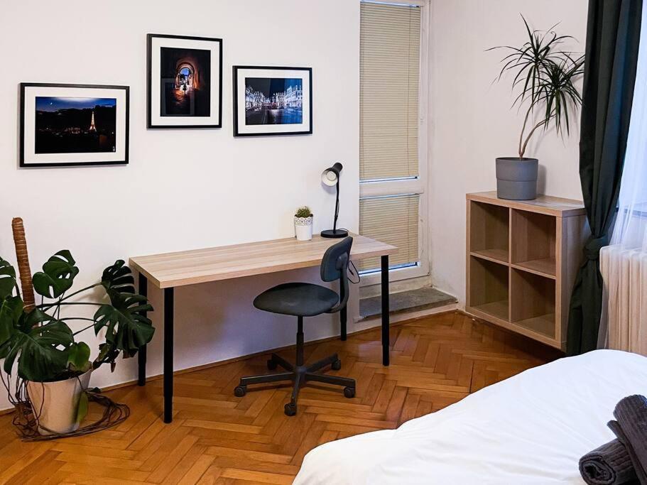 Rodinny Byt Pro 4 Na Brno-Stred Экстерьер фото