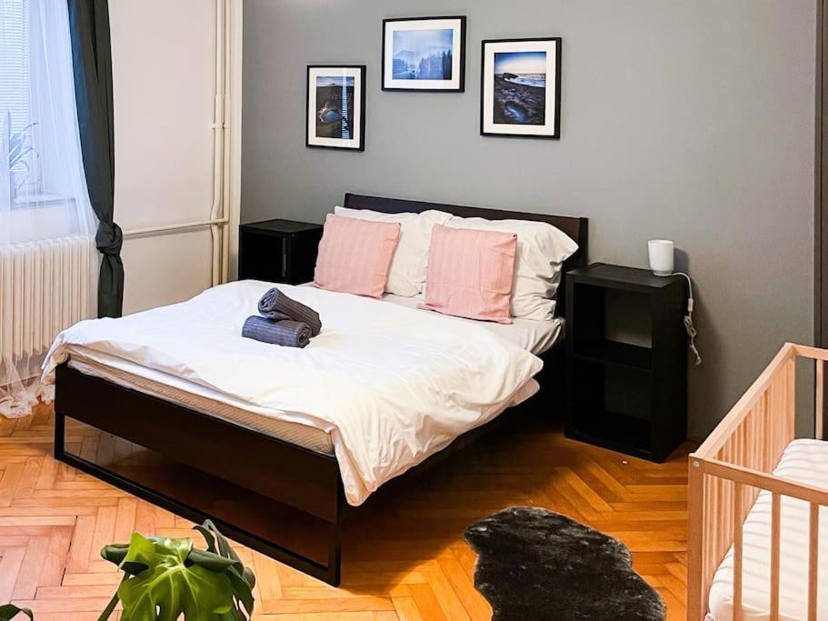 Rodinny Byt Pro 4 Na Brno-Stred Экстерьер фото